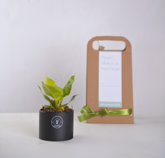 گیفت سازمانی کد 04