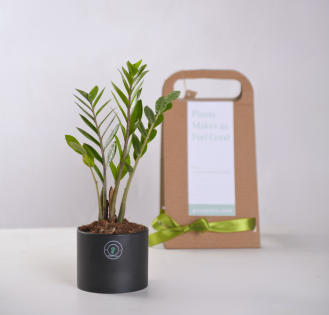 گیفت سازمانی کد 08