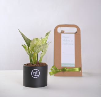 گیفت سازمانی کد 05