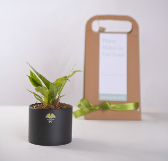 گیفت سازمانی کد 07