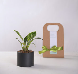 گیفت سازمانی کد 06